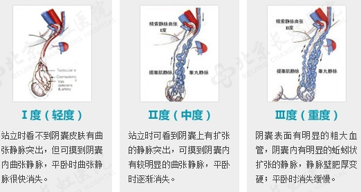 图片13.jpg