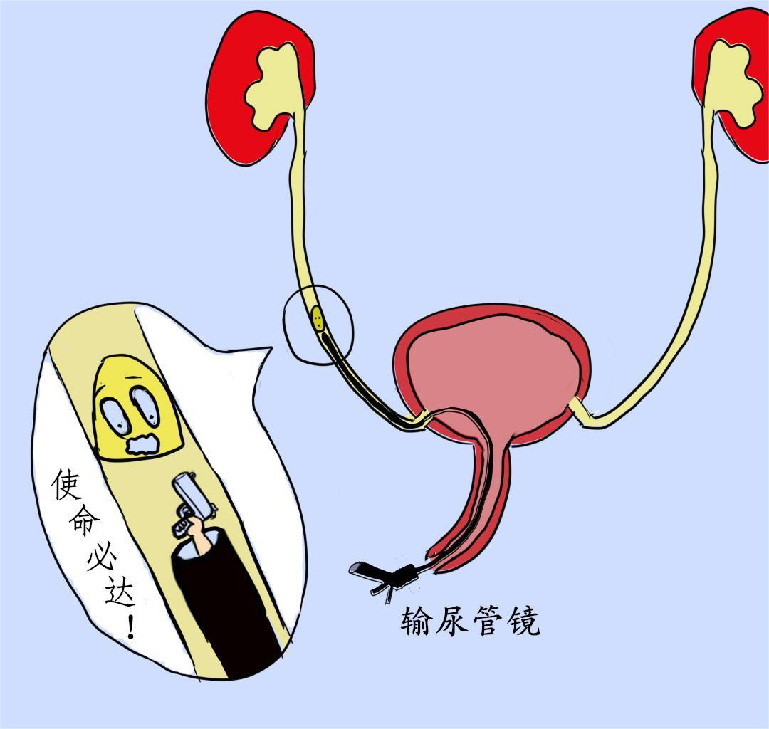 图片16.jpg