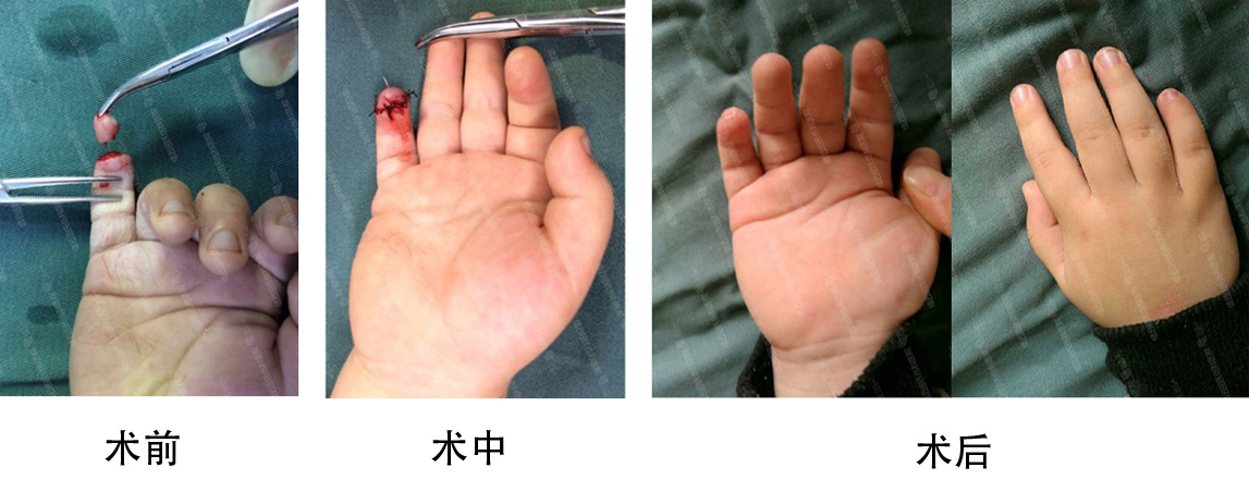 微信截图_20240313095145.jpg