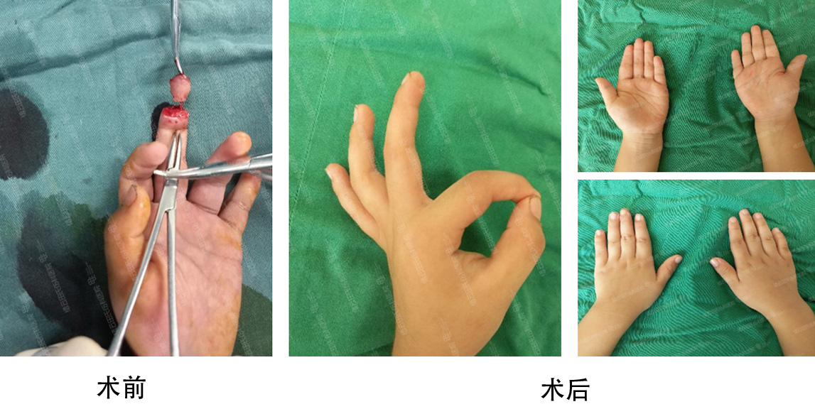 微信截图_20240313095145.jpg