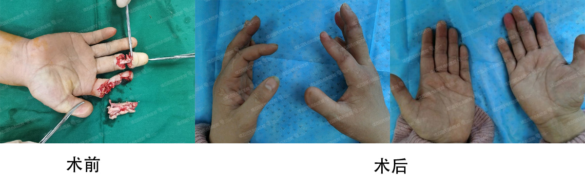 微信截图_20240313095145.jpg